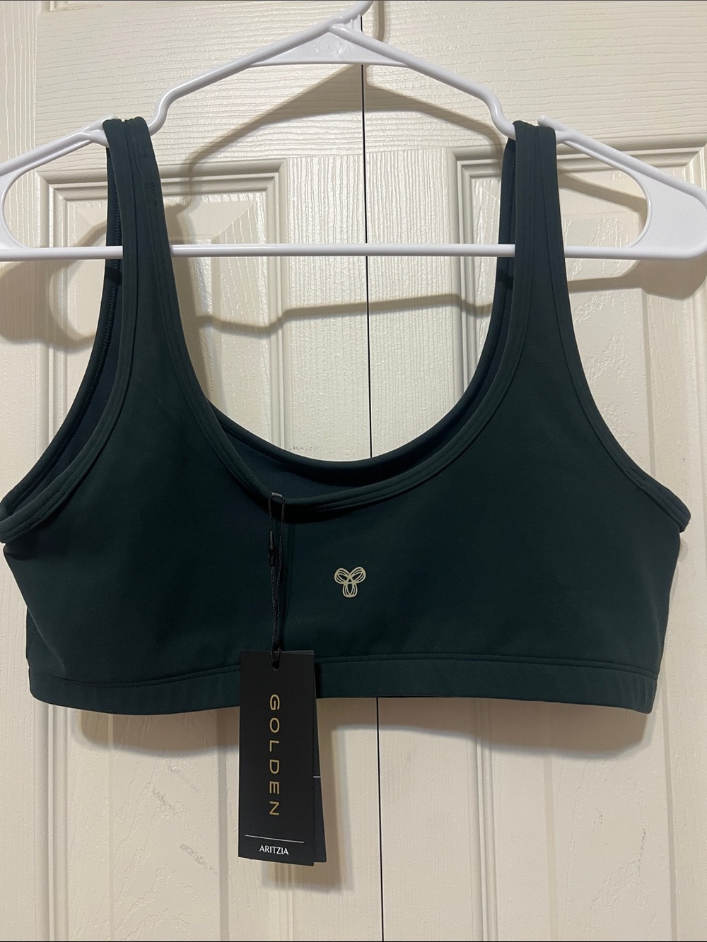 Aritzia Golden Dark Teal Sports Bra
